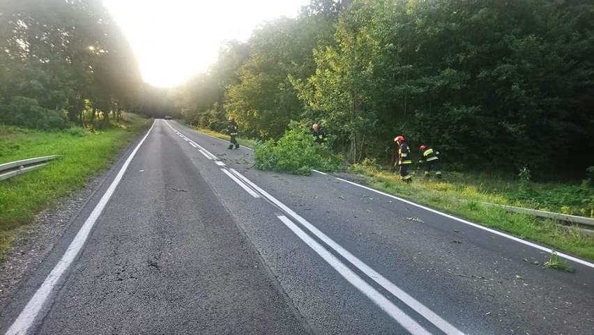 Gmina Marianowo. Na drogę krajową nr 20 spadło drzewo