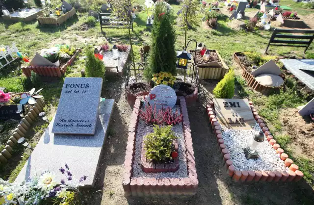 W wielu miastach działają cmentarze dla zwierząt. Tak jest np. w Łodzi, gdzie grzebowisko zbudował prywatny inwestor 