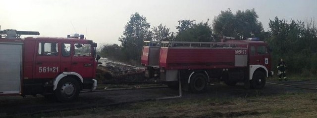 W gaszeniu ognia uczestniczyli strażacy z Piechcina, Barcina, Żnina i z Pakości.