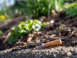Niedopałki papierosów to prawdziwa plaga, która zanieczyszcza środowisko. Większość z nich jest wyrzucana na ziemię zamiast do kosza