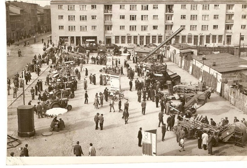 Wystawa rolnicza na Rynku Staromiejskim. Rok 1954.