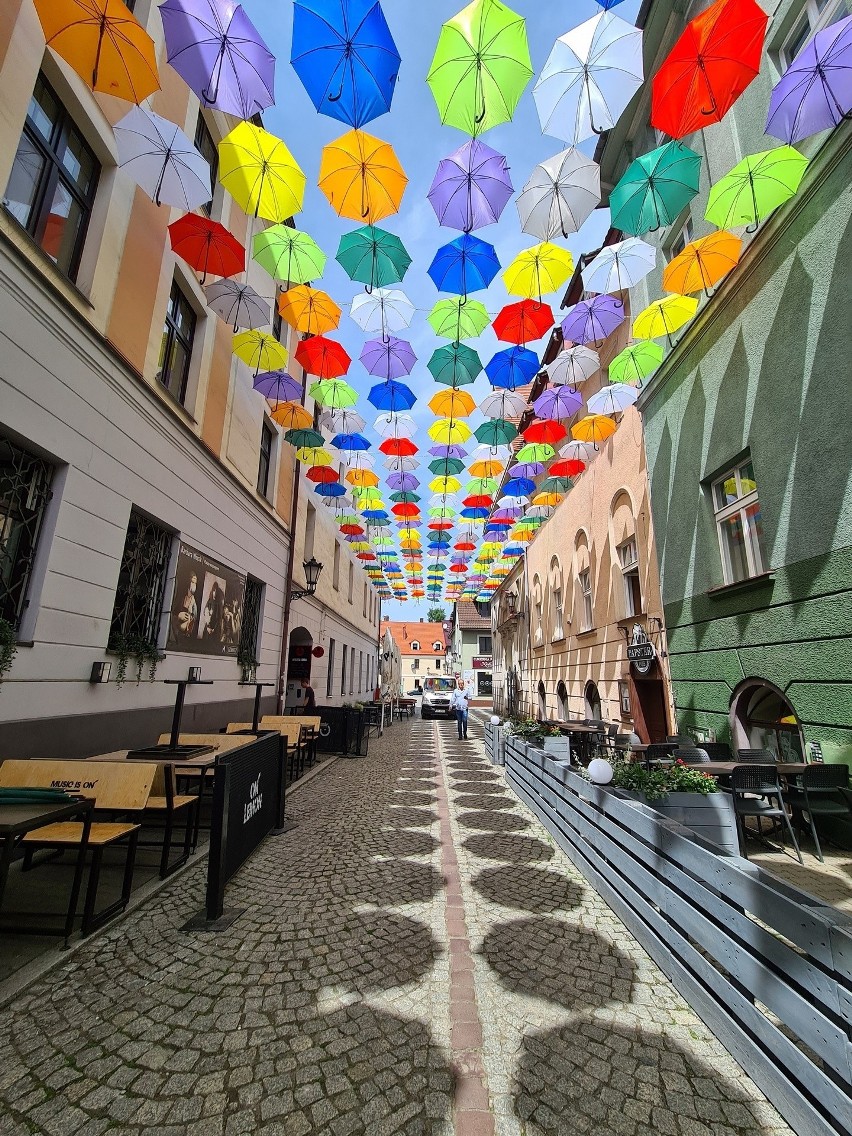 Kolorowe parasolki w Pszczynie „inscenizacją tęczowej...