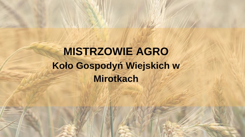 KGW w Mirotkach, powiat starogardzki, zajmuje w tej chwili I...