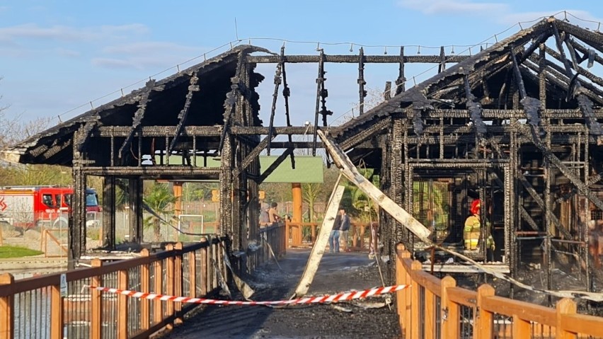 Pożar na terenie ZOO Safari w Borysewie. Spłonął pawilon na wodzie. Ogień zabił małpy i papugi ZDJĘCIA