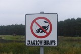 Aktualne zasady wędkowania w Polsce. Oto wymiary i okresy ochronne ryb w naszych jeziorach
