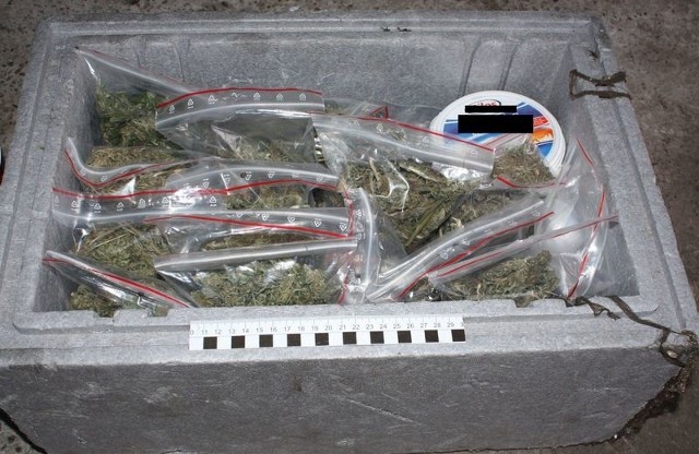Ponad kilogram marihuany w garażu 24-latka