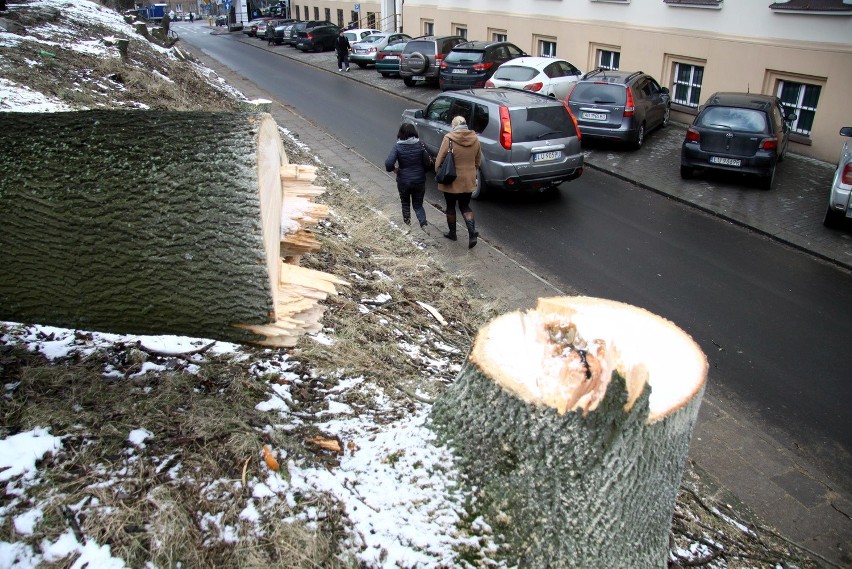Biurowiec przy ul. Spokojnej w Lublinie. Wycięli drzewa,...