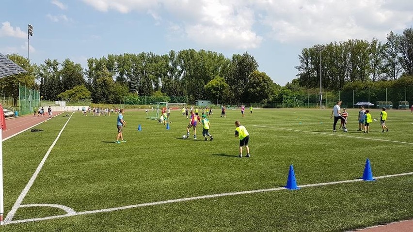 Zajęcia sportowe na Stadionie Śląskim