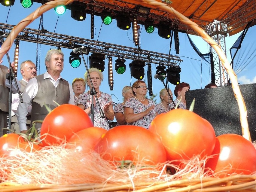 Festyn Pomidorowy 2014 w Jeziorach Wielkich [zdjęcia] 