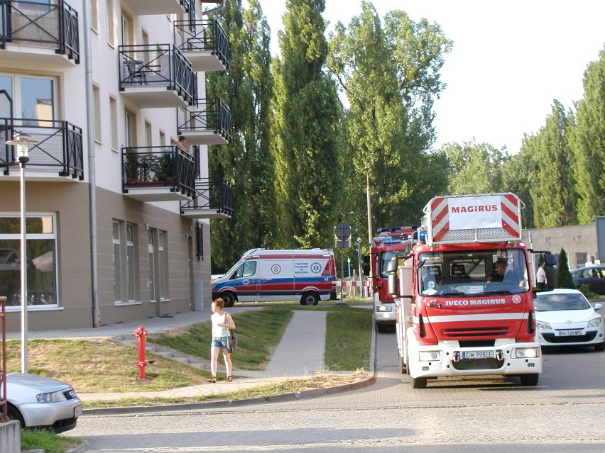Wrocław: Pożar na ul. Zwycięskiej. Gasiły go dwa zastępy straży pożarnej (FOTO)
