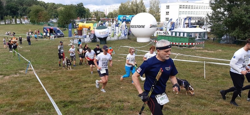 "Dziki Weekend" w Policach. Za nami Bieg Szlakiem Dzika na 10 kilometrów. Zobacz ZDJĘCIA