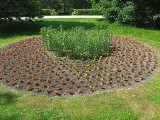 Sześć tysięcy sadzonek w Zamojskim Parku Miejskim. To m.in. aksamitki, begonie i smagliczki