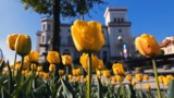 „Future is Bright”: niesamowity film Tomasza Walczaka ma sceny, które zapierają dech w piersiach. To Bielsko-Biała w technice timelapse