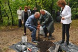 Kraków. Działacze KODu posadzili kolejny Dąb Wolności pod Kopcem Piłsudskiego [ZDJĘCIA]