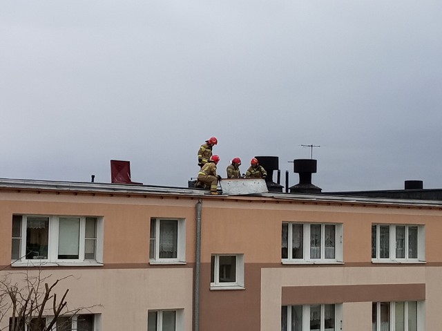 Bydgoscy strażacy cały czas usuwają skutki wichur, które w ostatnich godzinach przeszły przez Bydgoszcz oraz powiat bydgoski.