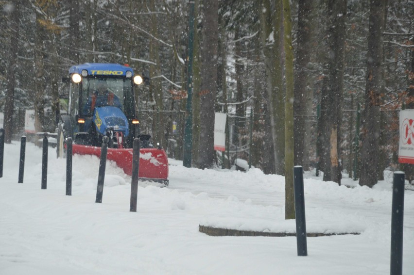 Zakopane zasypane. Zima atakuje, trudne warunki na drogach [ZDJĘCIA]