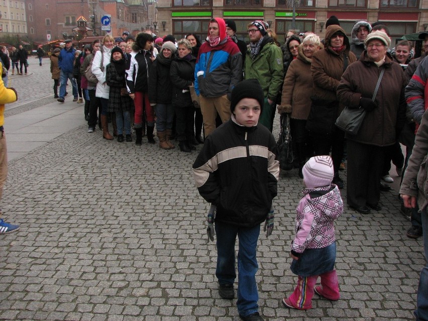 Wrocław, darmowe choinki na placu Solnym