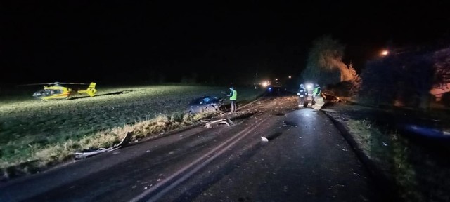 Wypadek w Dąbrowie. Strażacy udzielili pierwszej pomocy poszkodowanym. Oświetlili również teren, by śmigłowiec Lotniczego Pogotowia Ratunkowego mógł bezpiecznie wylądować. Mężczyzna z opla oraz kobieta z renault zostali zabrani do szpitali. Zobaczcie zdjęcia >>>>>