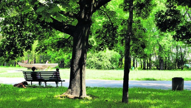 W parku mieszkańcy szukają schronienia w cieniu drzew (w tle nieczynna od lat fontanna)