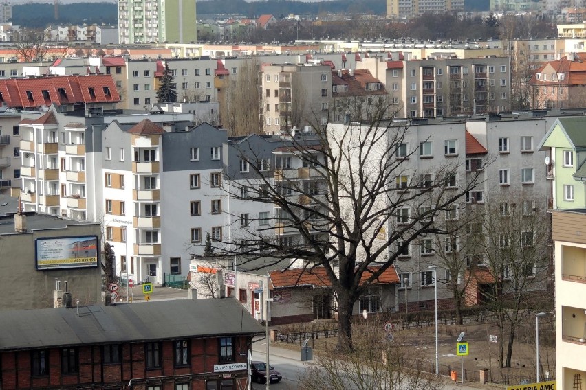 Miliony Polaków staną się właścicielami gruntów pod...