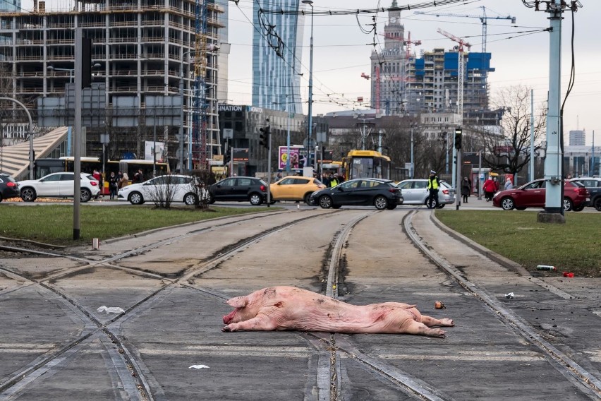 Rolnicy z AGROunii zaprotestowali w Warszawie. Rozsypując...