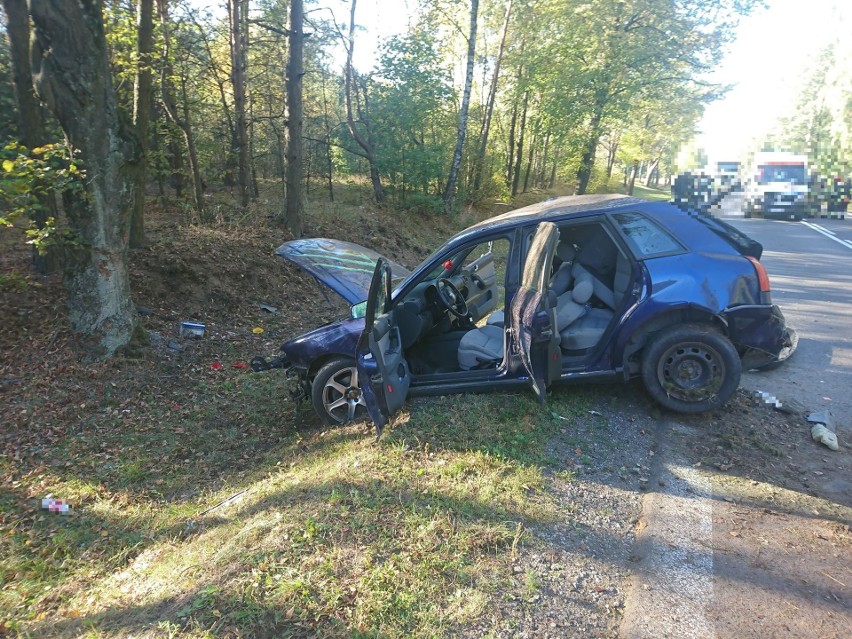 Horodnianka. Audi uderzyło w drzewo. Dwie osoby ranne [ZDJĘCIA]