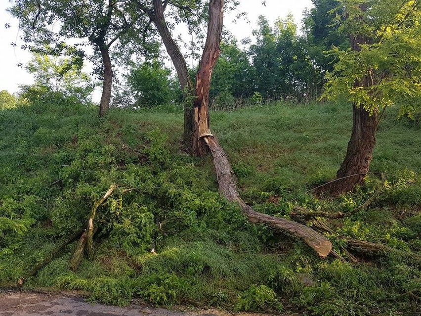 Iwanowice. Po burzach zerwane linie energetyczne wokół szkoły