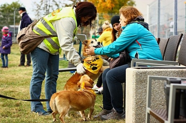 Pracownicy i wolontariusze schroniska dla bezdomnych zwierząt mają powody do radości, są dla nich pieniądze