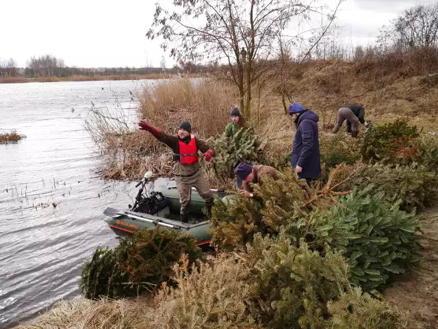 Akcja budowy krześlisk i sprzątania zbiornika Cholerzyn