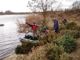 Chcą zwiększyć naturalną ilość ryb w zbiorniku w gminie Liszki. Wędkarze na akcji budowy krześlisk i sprzątania łowiska