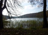 Chodzież: Jezioro Strzeleckie stało się łowiskiem typu "no kill"