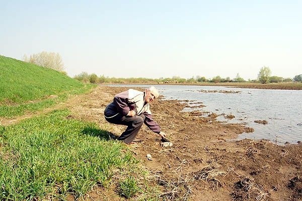 Wystarczy, aby stan wody na Wiśle podniósł się nieznacznie, a pola w pobliżu wałów zamieniają się w bajoro  - pokazuje Marian Kopyto, sołtys Wrzaw.