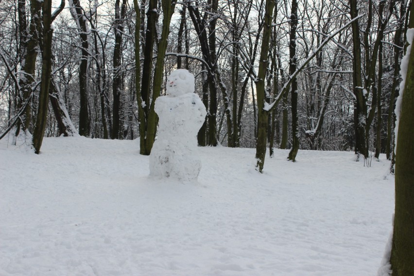 Park Kachla w Bytomiu zimą. Zobacz kolejne zdjęcia >>>