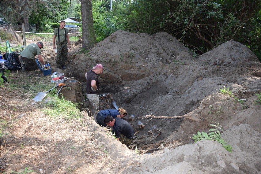 Kolejna ekshumacja w Białej Nyskiej. To zagłębie wojennych grobów [ZDJĘCIA] 