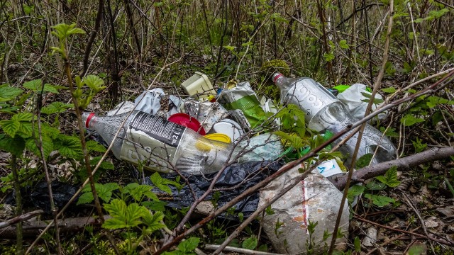 Tak wyglądają Piecki i Prądocin przed sezonem: wszędzie pełno śmieci pozostawionych przez wczasowiczów. Nie wszystkim podoba się bałagan w lesie. Zainterweniował... łoś.