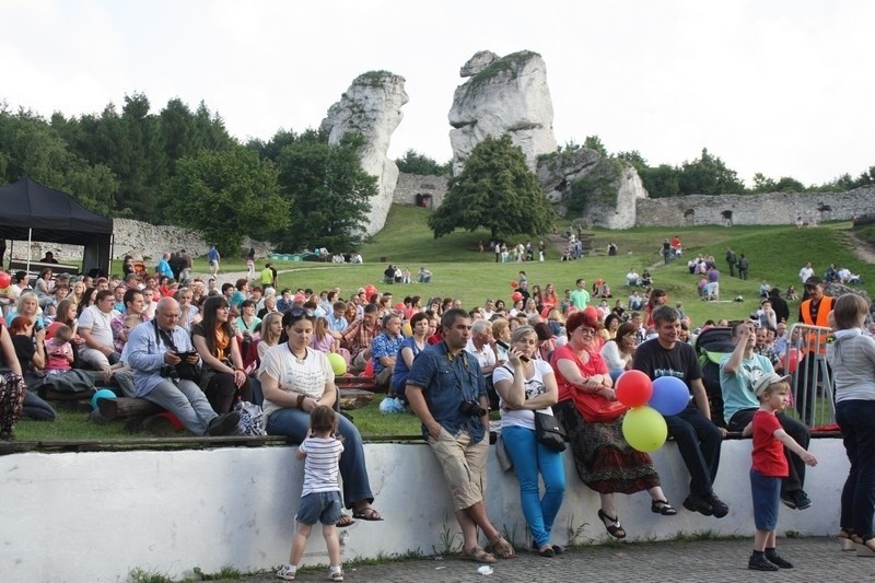 Piknik europejski na Zamku Ogrodzienieckim w Podzamczu za nami [ZDJĘCIA]