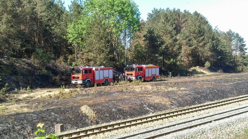 Pożar lasu w powiecie siemiatyckim