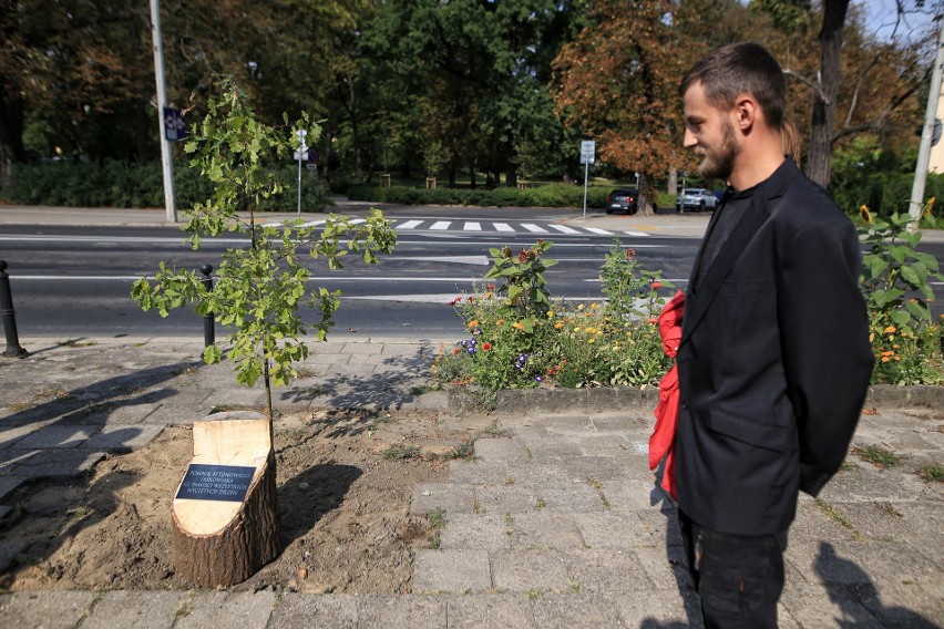 "Ku pamięci wszystkich drzew". W Poznaniu postawiono nowy...