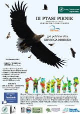 III Ptasi Piknik w Krynicy Morskiej. Prawdziwa gratka dla miłośników ptaków