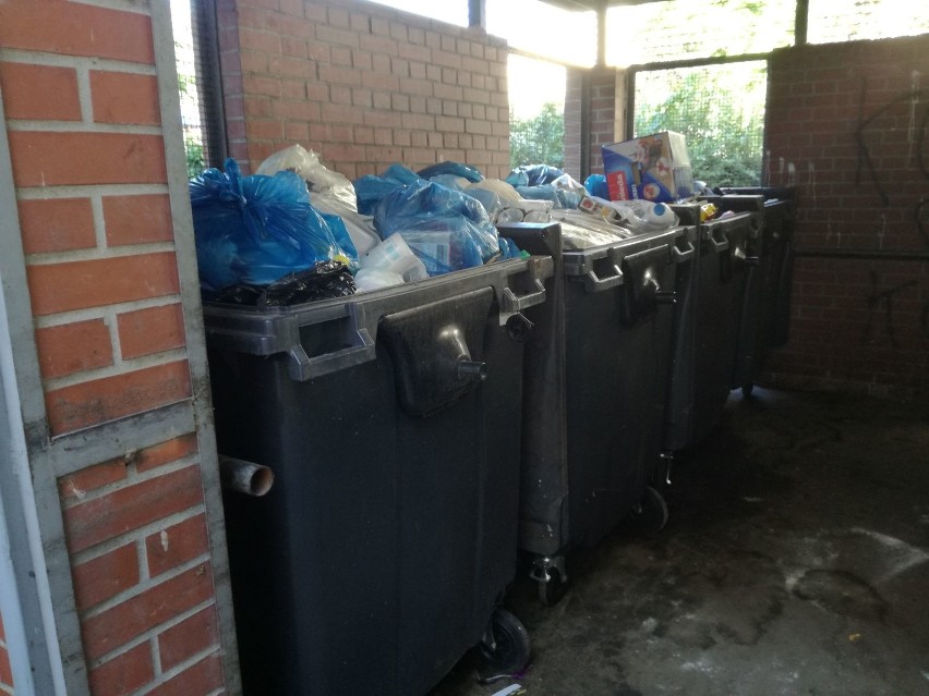 Wrocław: Przepełnione pojemniki na śmieci w Śródmieściu