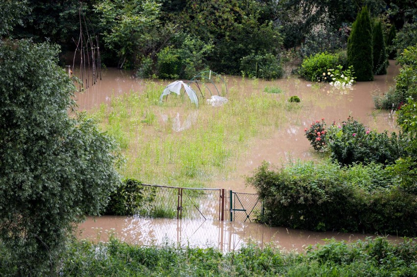 W Przemyślu San zalał ścieżki rowerowe i ogródki działkowe przy ul. Buszkowickiej. Na szczęście poziom rzeki opada [ZDJĘCIA]