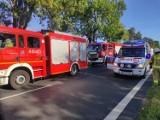Zderzenie dwóch ciężarówek na trasie Grodzisk Wielkopolski - Ruchocice 