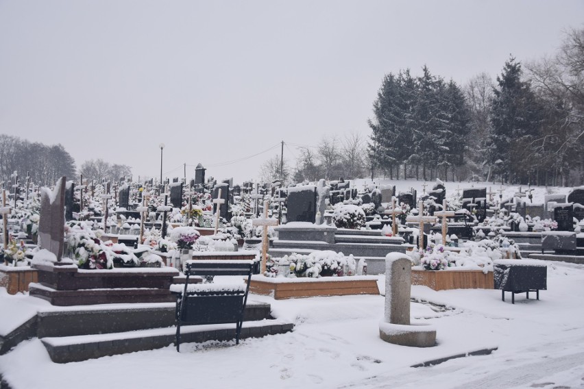 Pierwsze zniszczenia nagrobków na cmentarzu komunalnym w...
