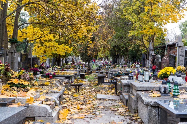 Jak dojechać na cmentarz w Brzegu? Organizacja ruchu przy cmentarzu w Dniu Wszystkich Świętych.