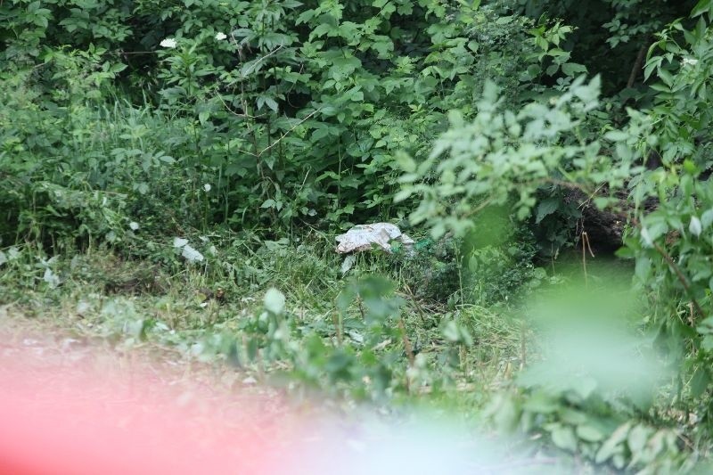 Znaleziono ciało zaginionej Oli Maliszewskiej. Czy to było samobójstwo?