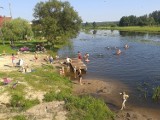 Jurowce, Nowodworce, Ogrodniczki, Wasilków - sprawdź kąpieliska na wakacje (zdjęcia)