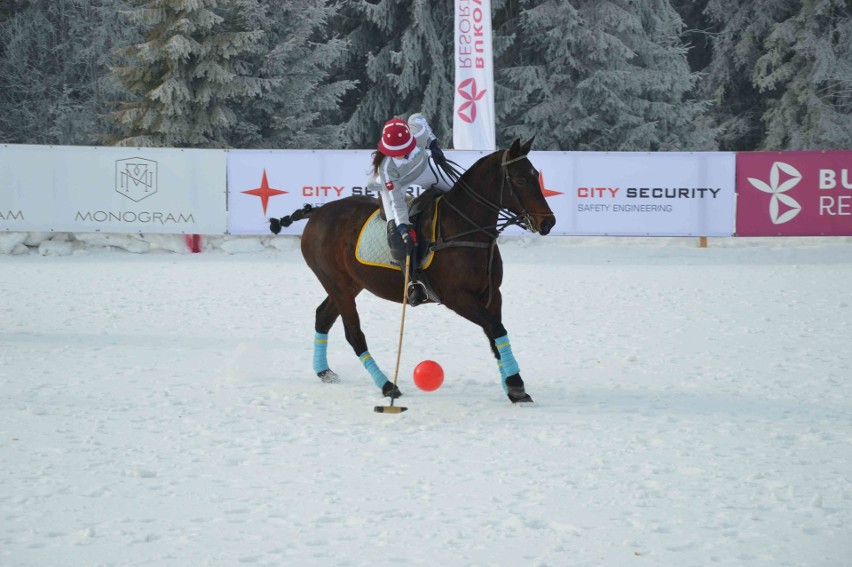 Bukowina Tatrzańska. Grali z polo na śniegu [ZDJĘCIA]