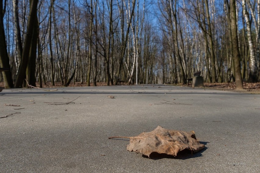 Koronawirus. Tarnów na nowych zasadach kwarantanny [ZDJĘCIA]