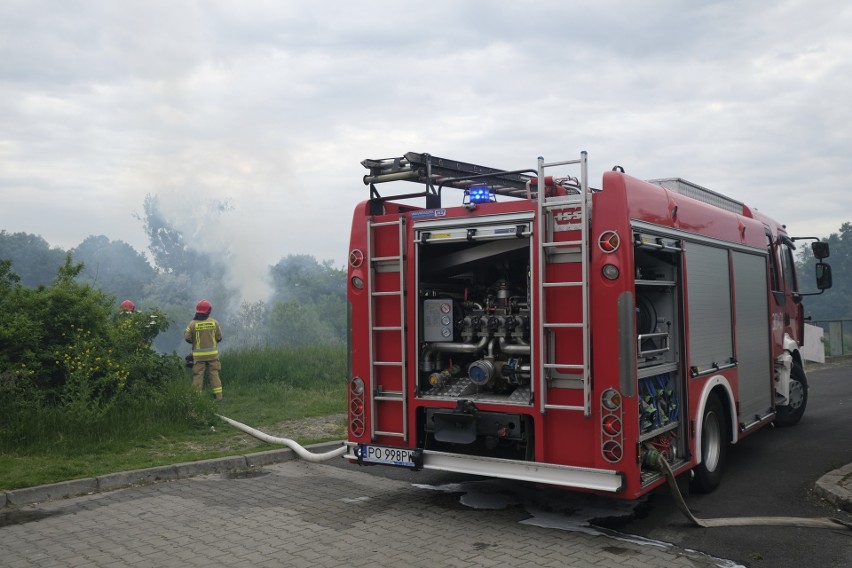 W poniedziałek 27 maja około godz. 15.30, w krzakach za...