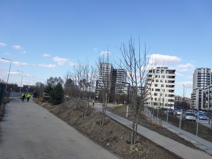 Kraków. Park w Czyżynach prawie gotowy. Mieszkańcy w końcu będą mieli trochę zieleni pod oknami [NOWE ZDJĘCIA]